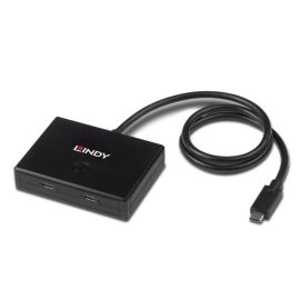 Lindy 2 Port USB 3.2 Gen 2 Type C Bi-Directional Switch | 43329