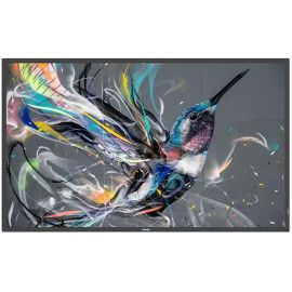 Philips 43BDL3650Q/00 43" 4K Q-Line Digital Signage Display