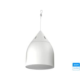 Biamp Desono DP6-W 6.5" Pendant Loudspeaker | 911.0551.900