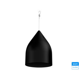Biamp Desono DP8 Two-Way 8-inch High Output Pendant Mount Loudspeaker Black | 911.0552.900
