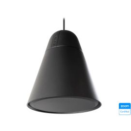 BIAMP P60DT-BL Two-Way 6.5" Loudspeaker