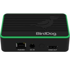 BirdDog Flex 4K Out Full NDI Decoder | BDFLEXDEC
