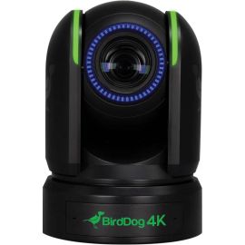 BirdDog P4K Bulb IP Security Camera | BDP4K