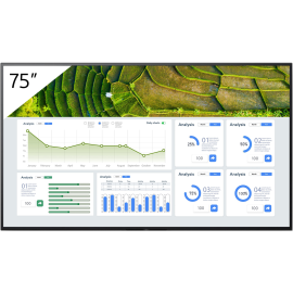 Sony FW-75BZ35L 75" Enhanced 4K HDR Professional Digital Signage Display