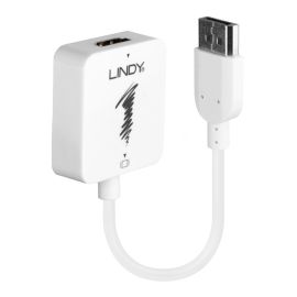 Lindy HDMI to DisplayPort 4K30Hz Converter | 38146