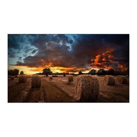 Samsung VM55BU/LH55VMBUBGBXEN 55" VM-Series Videowall Display